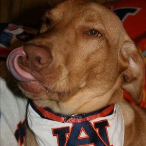 Meet your Posher, Derinda